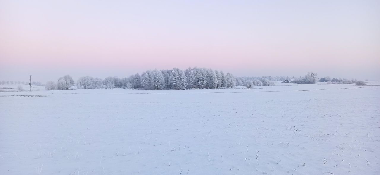 siedlisko, 3 pokoje Wojciechy, Wojciechy. Zdjęcie 17