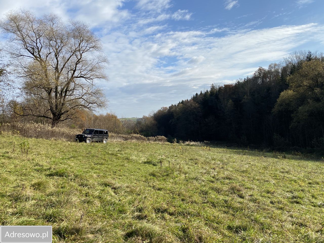 Działka rolno-budowlana Faściszowa. Zdjęcie 13