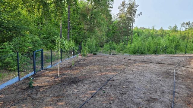 Działka rekreacyjna Kłodno. Zdjęcie 1