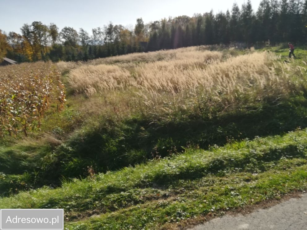 Działka budowlana Bielowicko. Zdjęcie 6