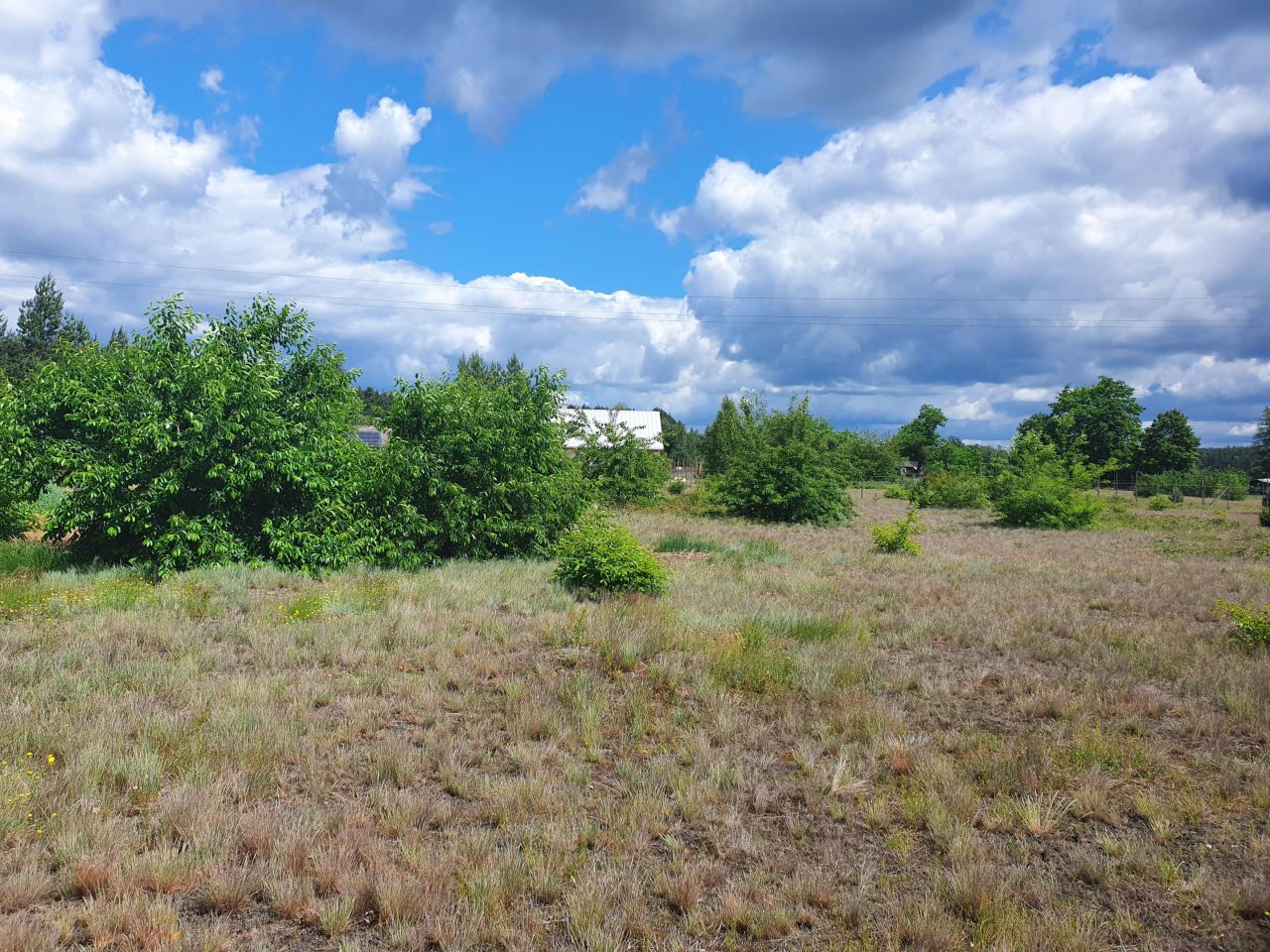 Działka budowlana Kępa Niemojewska. Zdjęcie 21