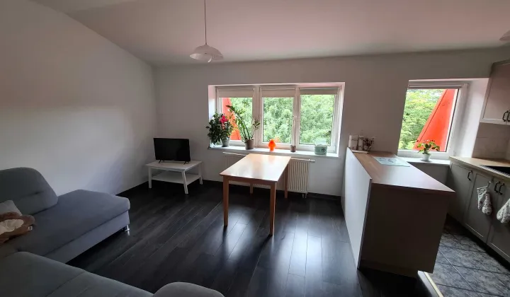 Mieszkanie 4-pokojowe Łódź Polesie, ul. Solec