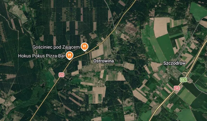 Działka rolna Ostrowina