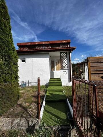 Działka rekreacyjna Żychlin. Zdjęcie 1