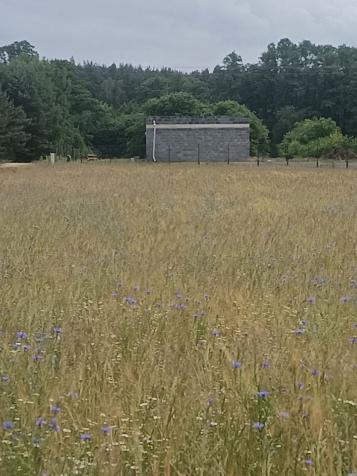 Działka budowlana Wola Grzymkowa, ul. Słonecznikowa