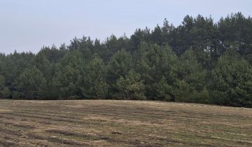 Działka siedliskowa Ostrówek