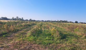 Działka rolna Czarzyzna