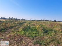 Działka rolna Czarzyzna