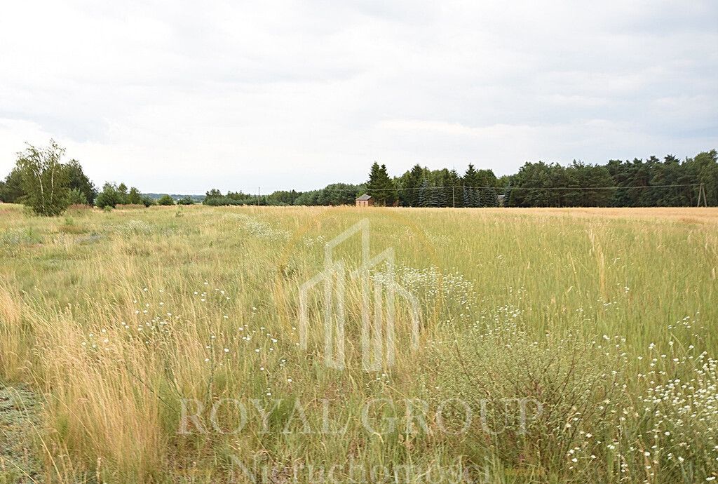 Działka siedliskowa Górka. Zdjęcie 4