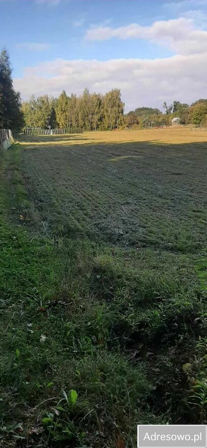 Działka budowlana Jaźwina Janczowice. Zdjęcie 3