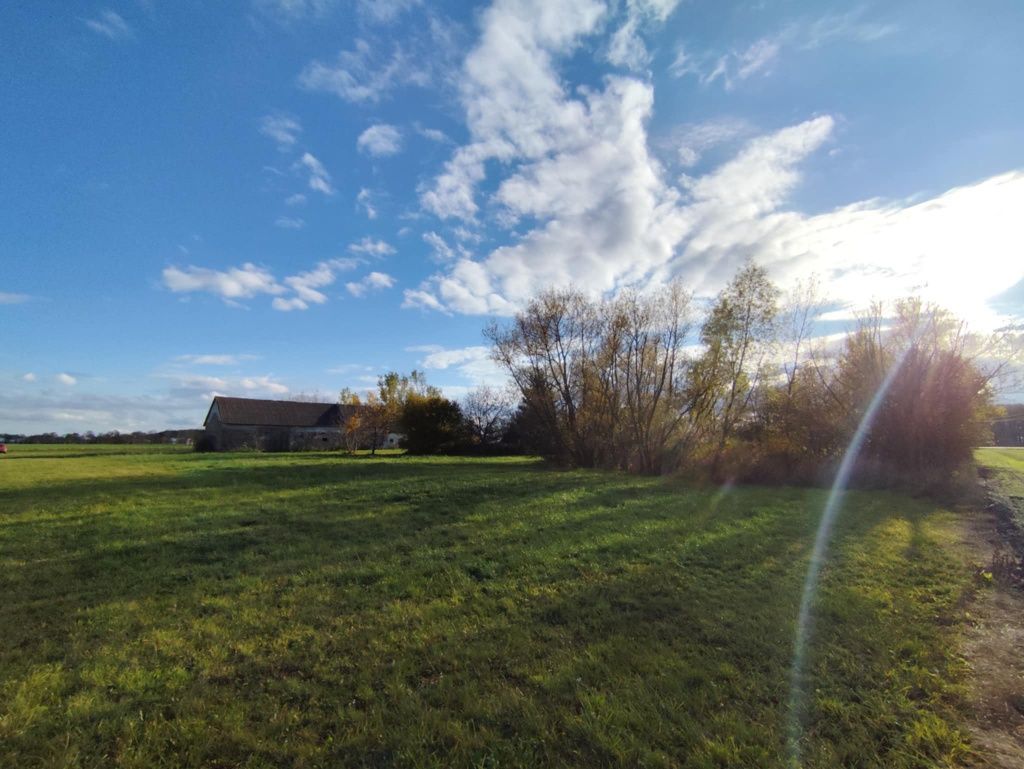 Działka rolna Smosarz-Dobki