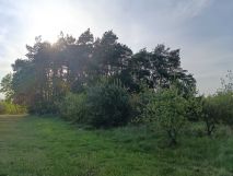 Działka rolna Wola Krobowska. Zdjęcie 1