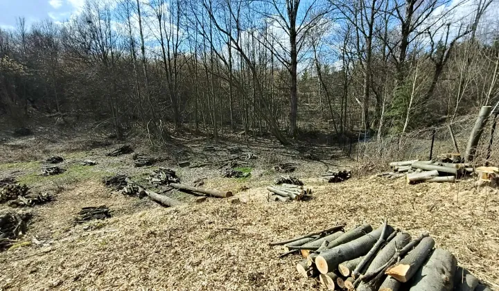 Działka budowlana Gaj, ul. Nowa