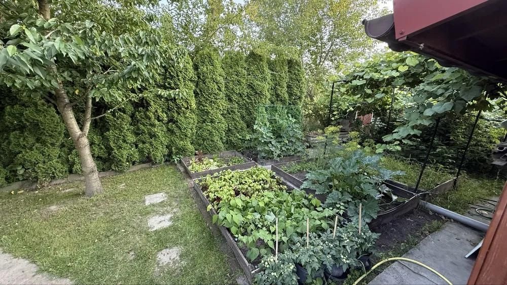 Działka rod Rawa Mazowiecka, ul. Skierniewicka. Zdjęcie 4