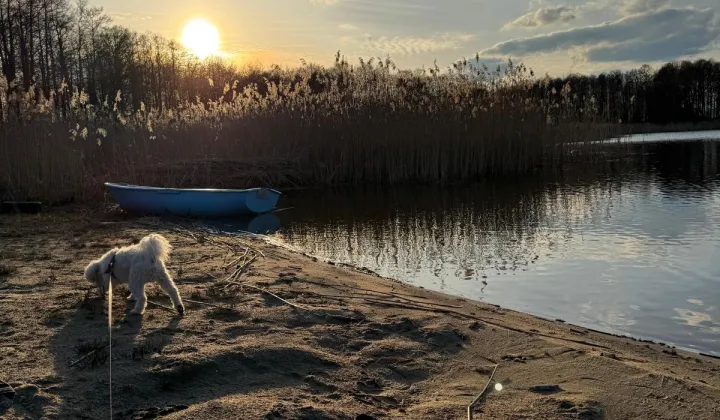 Działka rekreacyjna Goleń