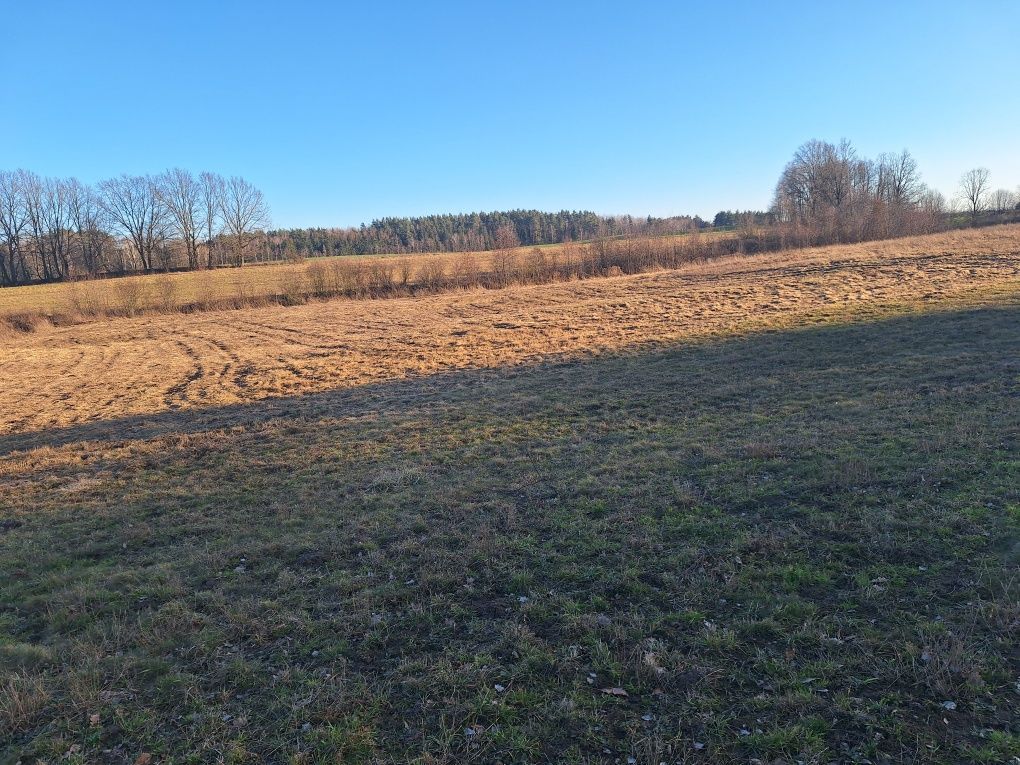 Działka rolna Kruszewiec. Zdjęcie 4