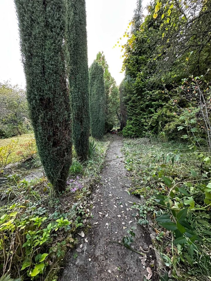 Działka rod Sosnowiec, ul. Działkowa. Zdjęcie 6