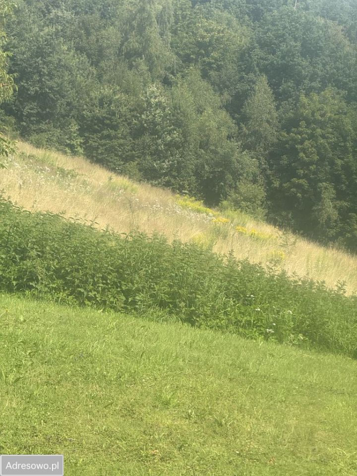 Działka Raciborsko. Zdjęcie 2