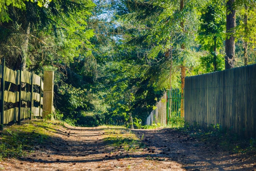 Działka rekreacyjna Natać Wielka. Zdjęcie 5