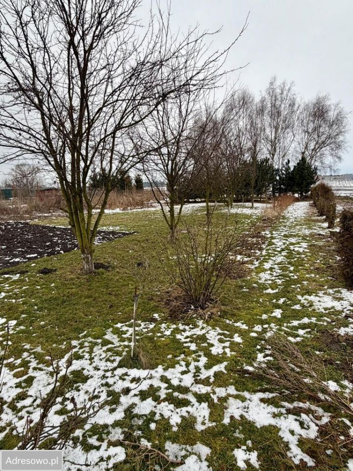 dom wolnostojący, 5 pokoi Kietrz. Zdjęcie 5