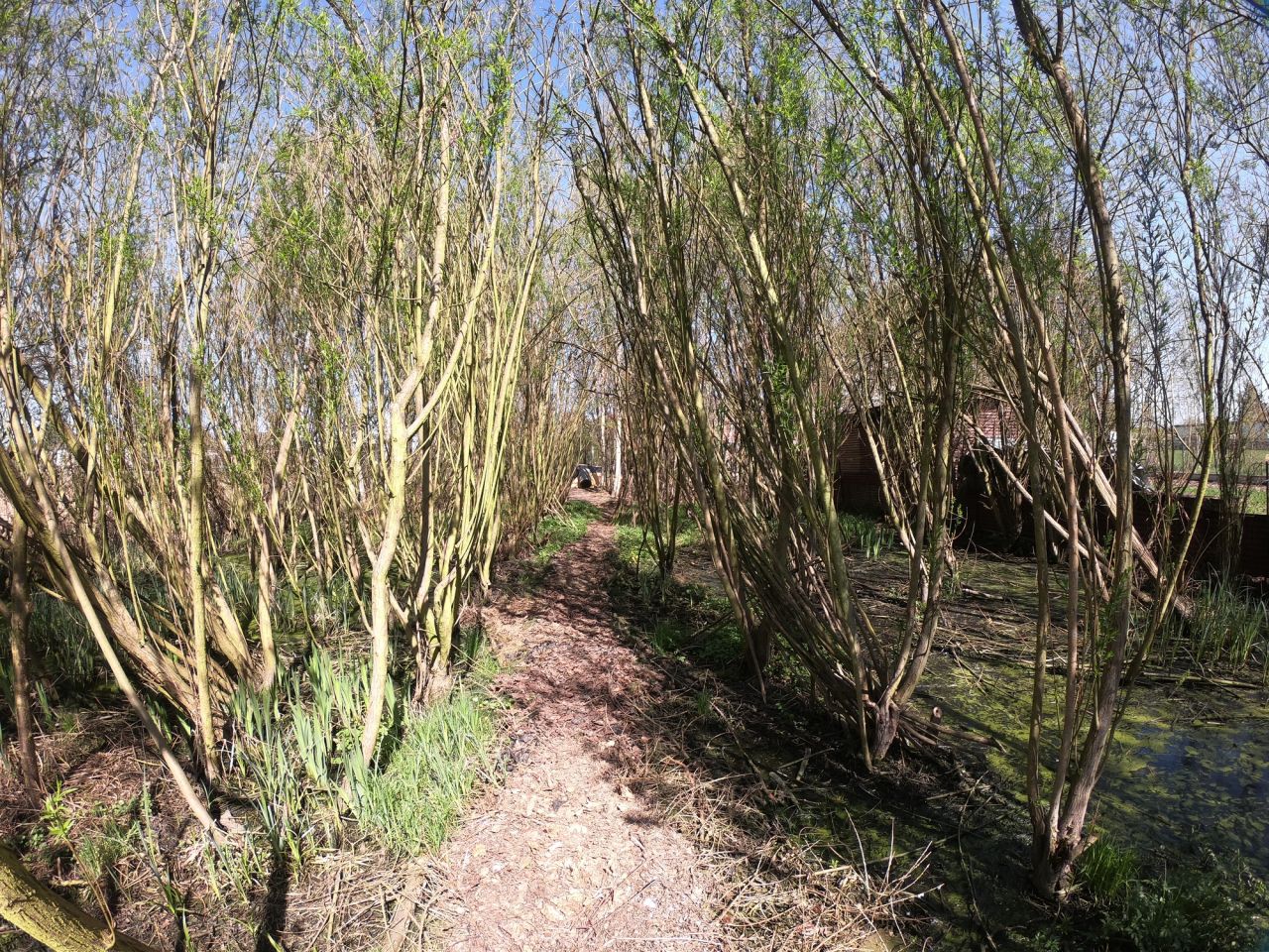 dom wolnostojący, 5 pokoi Sadów Kopce, ul. Powstańców Śląskich. Zdjęcie 28