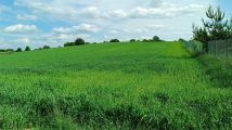 Działka rolna Stara Huta, ul. Szmaragdowa. Zdjęcie 1