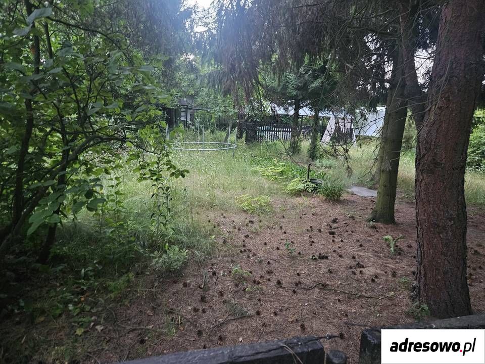 Działka rod Sosnowiec. Zdjęcie 2