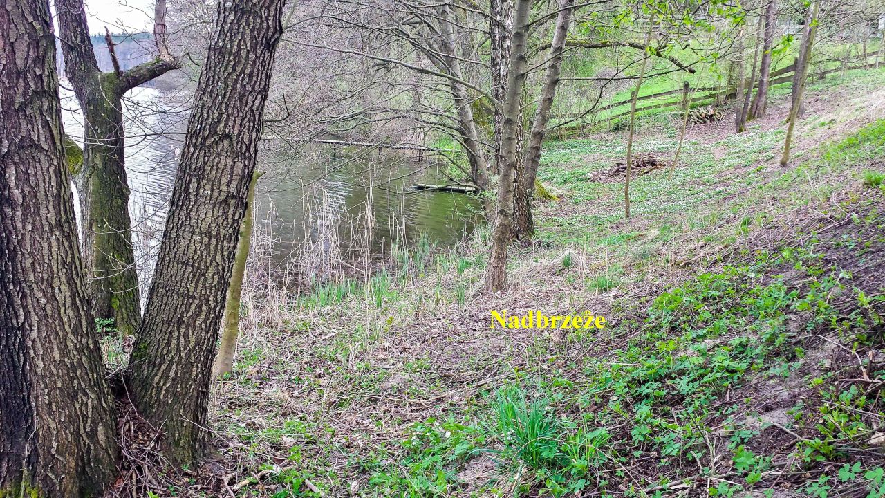 Działka rolno-budowlana Rudzienice. Zdjęcie 9
