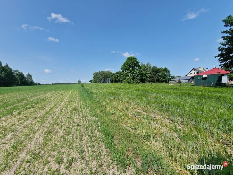 Działka budowlana Kunów. Zdjęcie 11