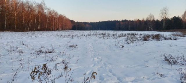 Działka rolna Łokietnica. Zdjęcie 1