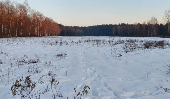 Działka rolna Łokietnica