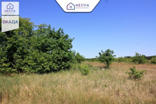 Działka rolna Wieńkowo. Zdjęcie 4