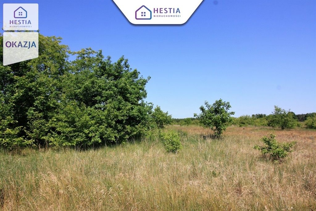 Działka rolna Wieńkowo. Zdjęcie 4