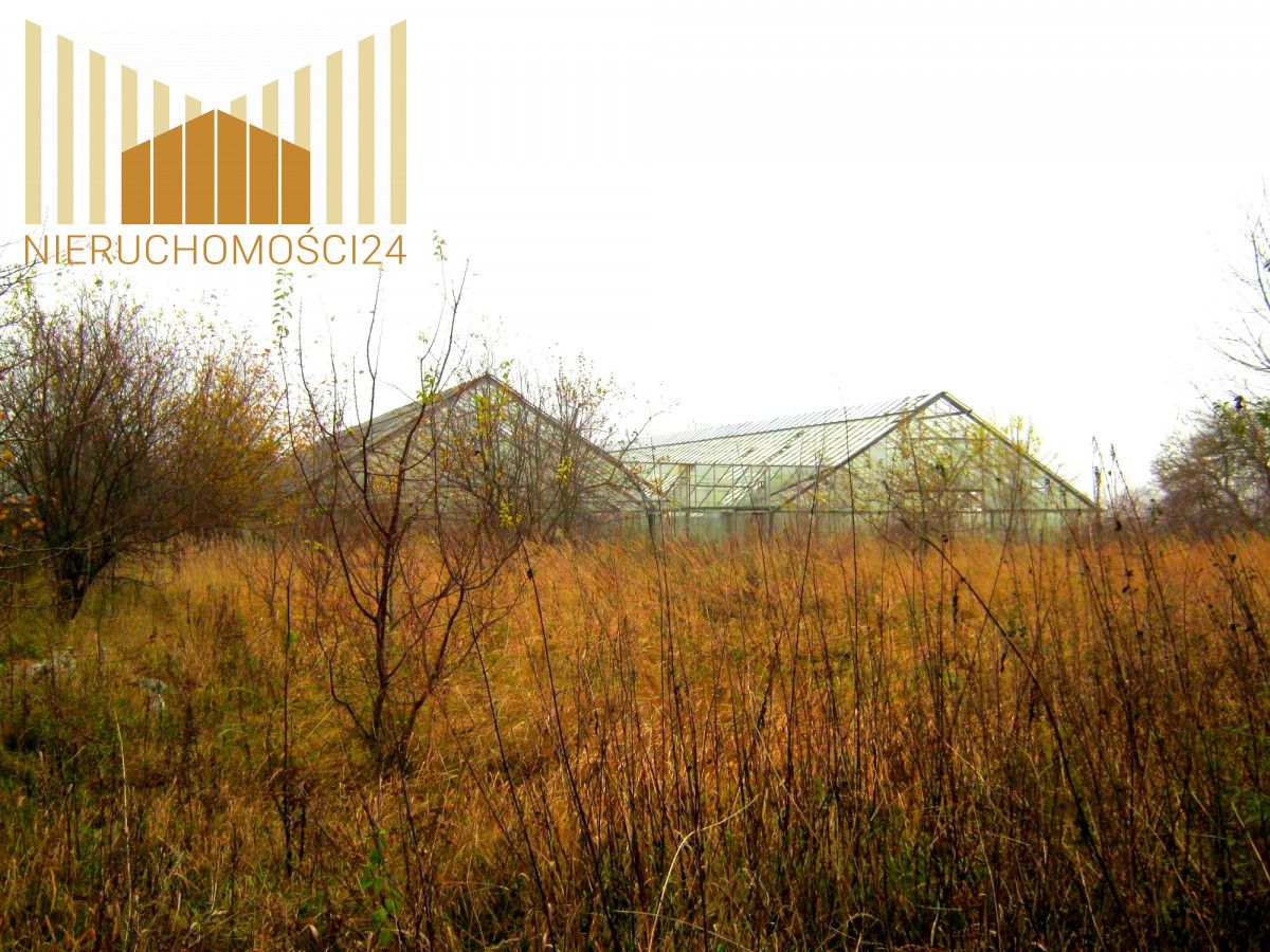 Działka siedliskowa Siennica. Zdjęcie 4