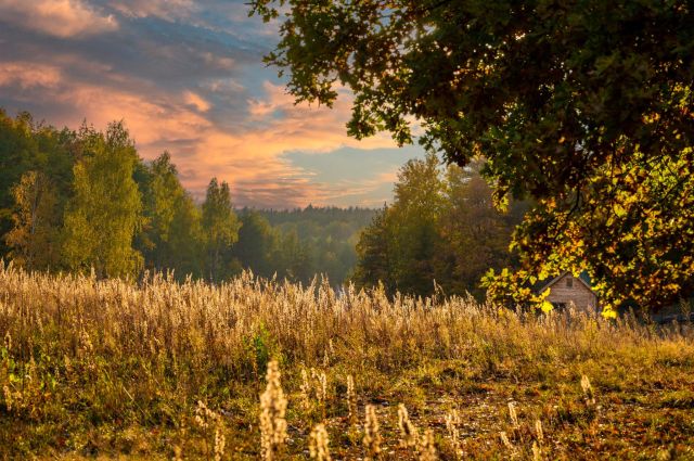 Działka budowlana Jeziórka. Zdjęcie 1