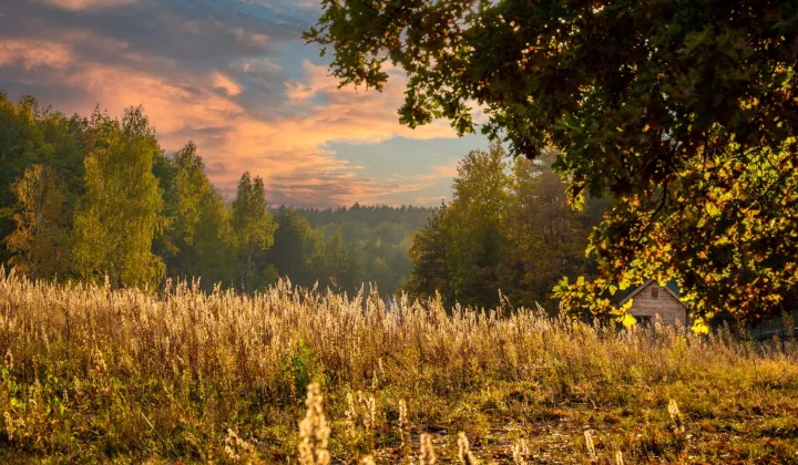Działka budowlana Jeziórka