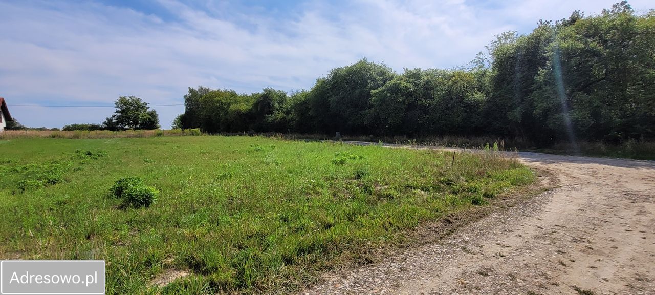 Działka budowlana Katarzynki, ul. Astrowa. Zdjęcie 4