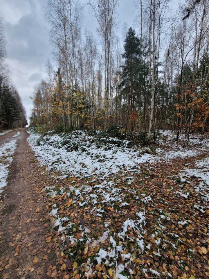Działka Zarzęcin. Zdjęcie 5