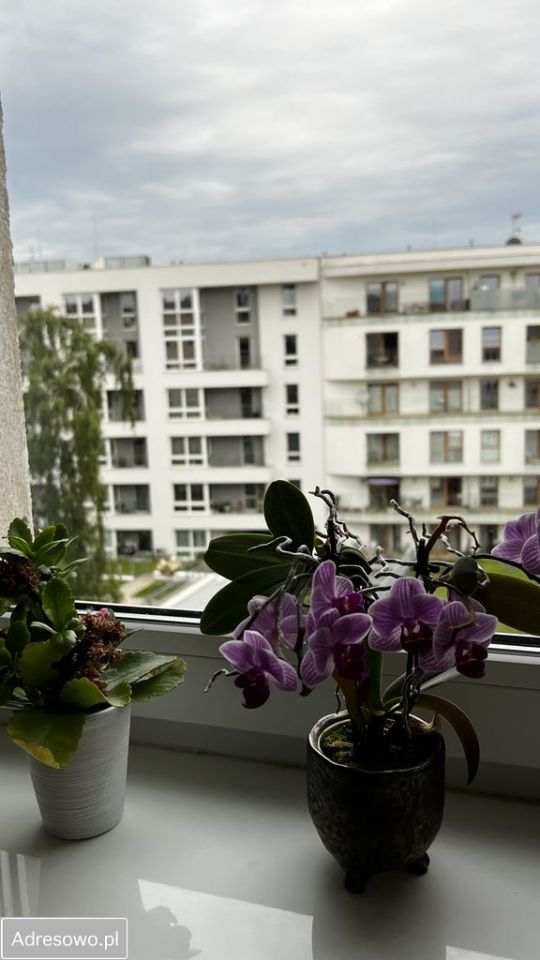 Mieszkanie 2-pokojowe Gdynia Śródmieście, ul. Armii Krajowej. Zdjęcie 16
