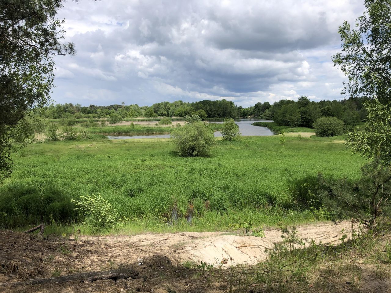 Działka rekreacyjna Biała Góra. Zdjęcie 12