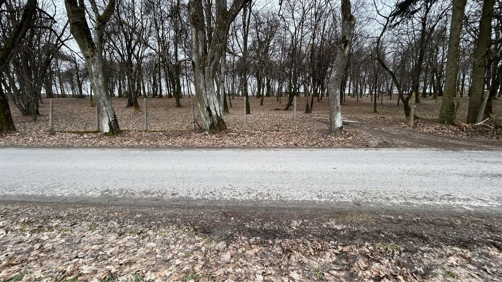 Działka rolno-budowlana Daniszów. Zdjęcie 6