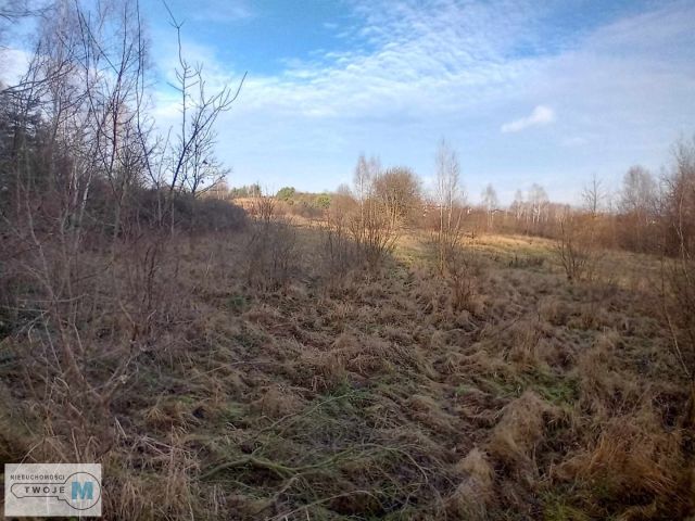Działka inwestycyjna Daleszyce. Zdjęcie 11