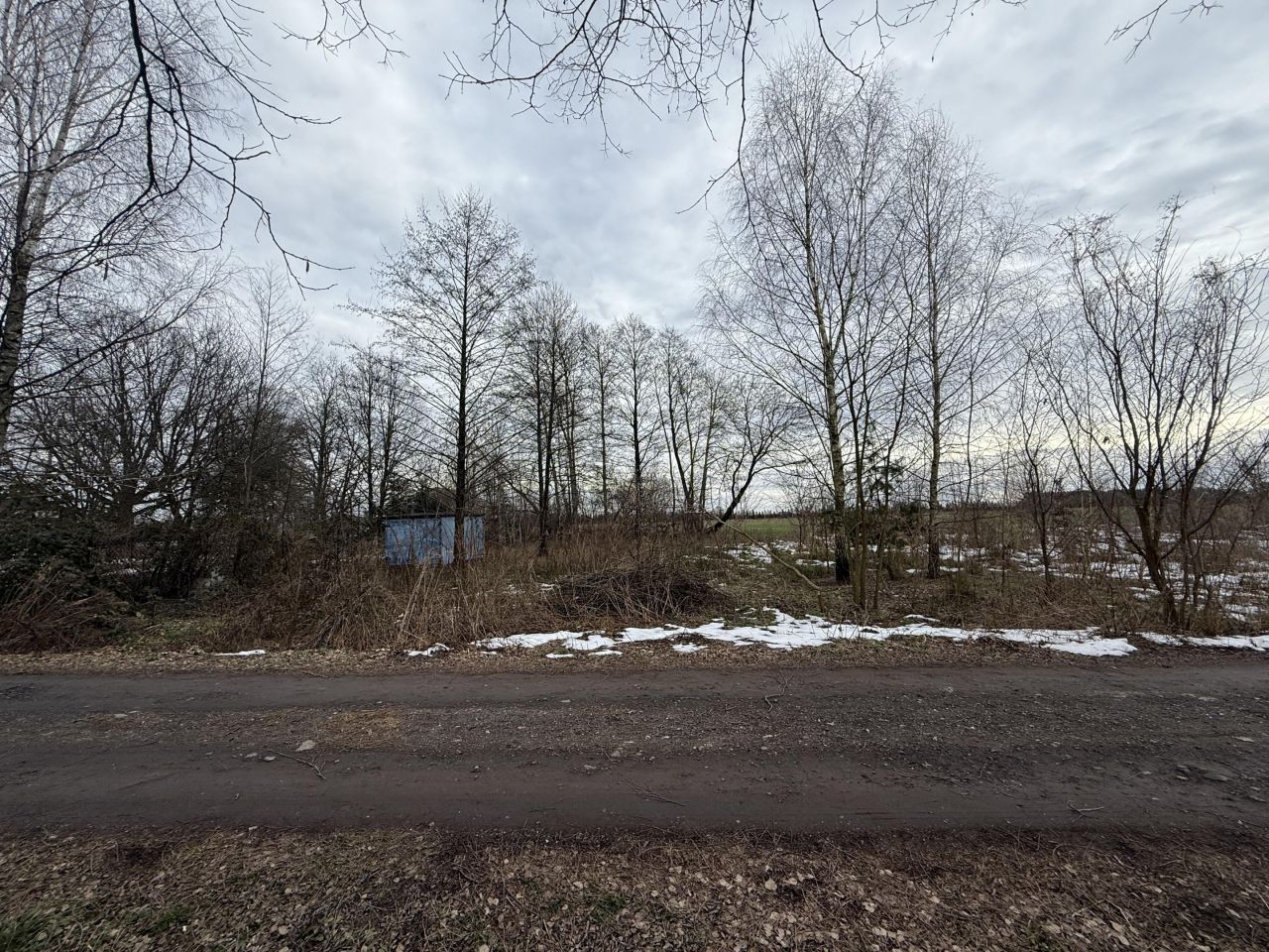 Działka rekreacyjna Czyżemin. Zdjęcie 2