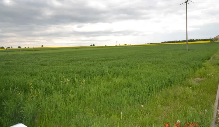 Działka budowlana Piotrowice