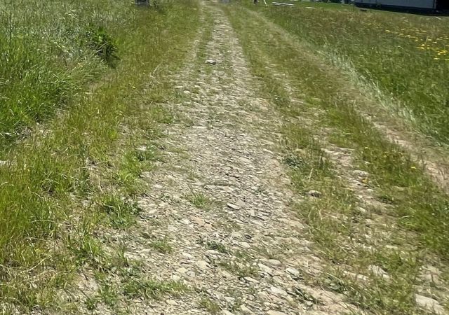 Działka budowlana Krynica-Zdrój. Zdjęcie 4