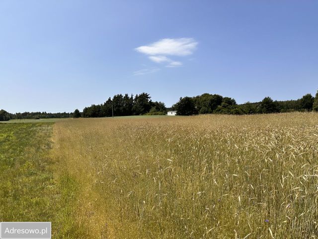 Działka rolna Nowa Cerkiew, ul. 18 Pułku Ułanów Pomorskich. Zdjęcie 1