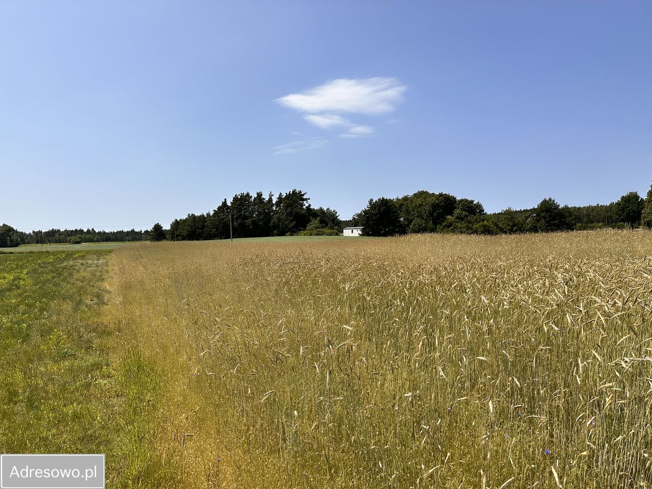 Działka rolna Nowa Cerkiew, ul. 18 Pułku Ułanów Pomorskich