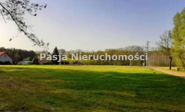 Działka Kamion. Zdjęcie 1