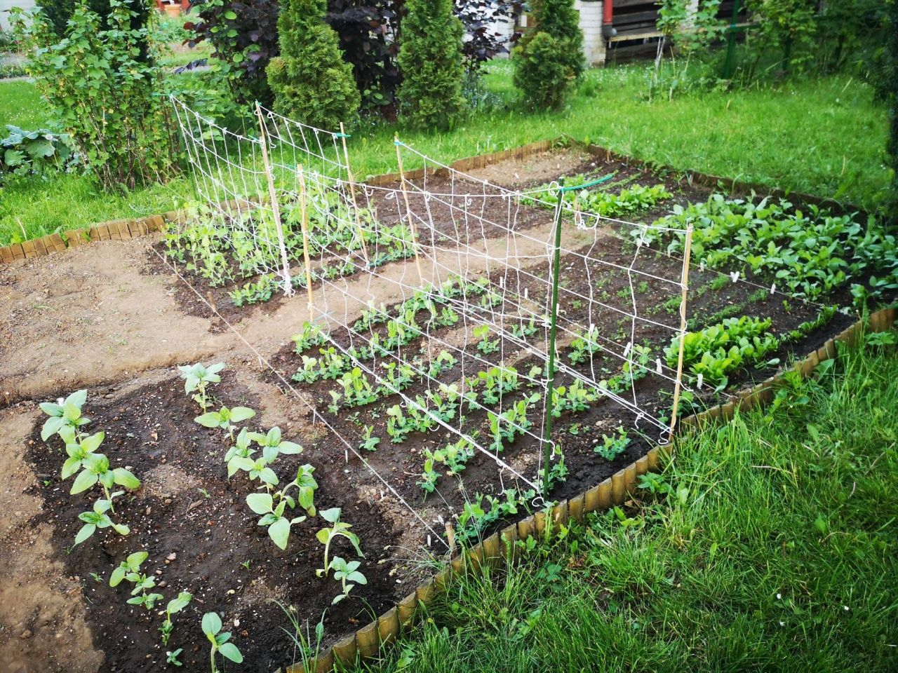 Działka rod Tarnowskie Góry. Zdjęcie 6