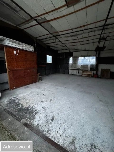 Hala/magazyn Żywiec. Zdjęcie 6